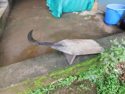 Knife used for cutting vegitables Foto stock