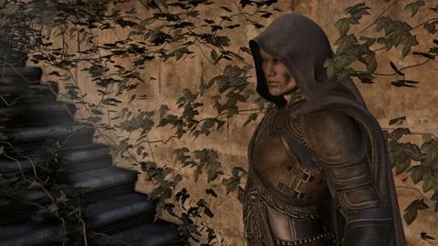 Knight-errant Stock Illustration