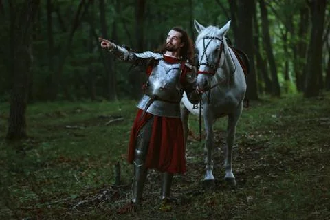 Knight in forest Stock Photos