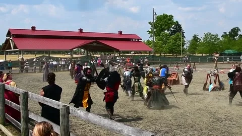 Knight Mele Stock Footage 244008985