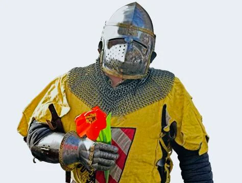 Knight Stock Photos