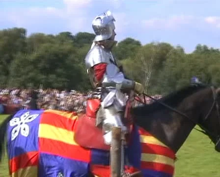 Knight ready for tournament 動画素材 12530283