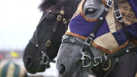 Knights Fighting, including jousting. 스톡 동영상 322918345