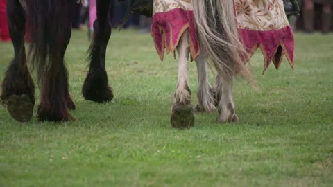 Knights Fighting, including jousting. Stock Footage 322918366
