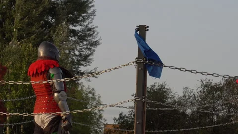 Knights. Stock Footage 139905589