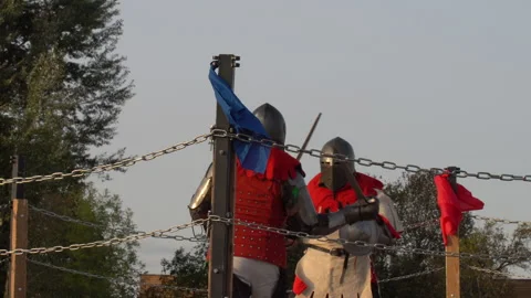 Knights. 스톡 동영상 139905607