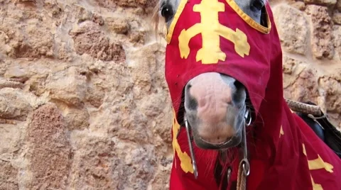 A knight's horse Video stock 43149061