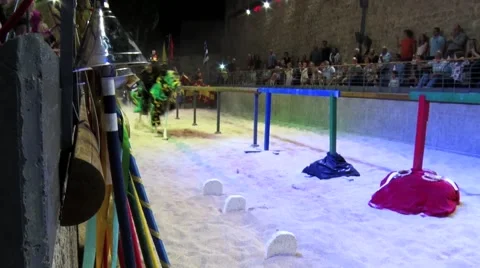 Knights show Stock Footage 43150305