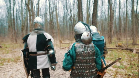 The knights walk through the forest Stock Footage 67987864