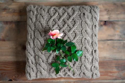 Knit cushion Stock Photos