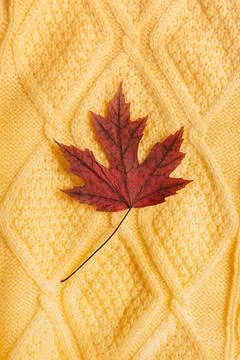 Knitted pattern of a yellow sweater with a maple red dry leaf in the middle Foto stock