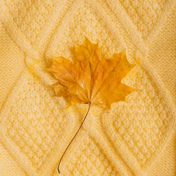 Knitted pattern of a yellow sweater with a maple yellow dry leaf in the middl Stock-Fotos