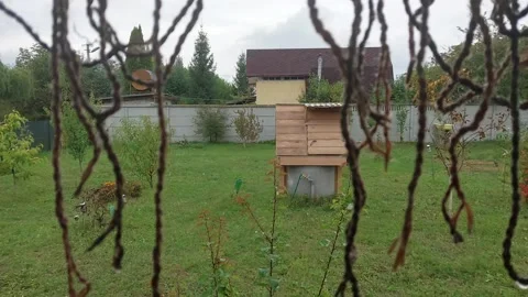 Knitted rope hanging on a tree Видео 211837760