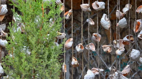 Knitted shells swaying in the wind Stock Footage 58313461