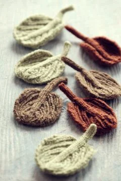 Knitted winter leaf Stock Photos