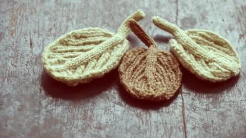 Knitted winter leaf Stock Photos