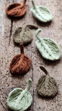 Knitted winter leaf Stock Photos