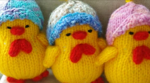 Knitted Woolen Chicks. Stock Footage 49669744