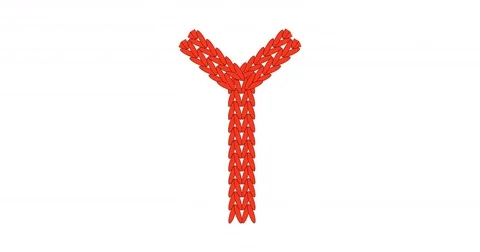 Knitting alphabet abc letter Y in red color on white background.  Stock Footage 81301034