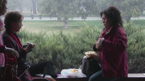 Knitting &amp; cell phone in Beijing Park Stock Footage 44753564