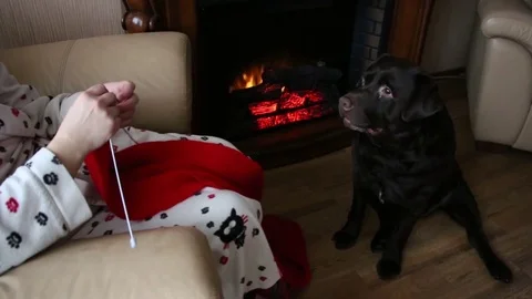 Knitting in a cozy house Stock Footage 83446652