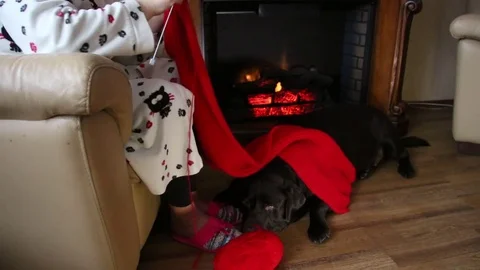 Knitting in a cozy house Stock Footage 83446726
