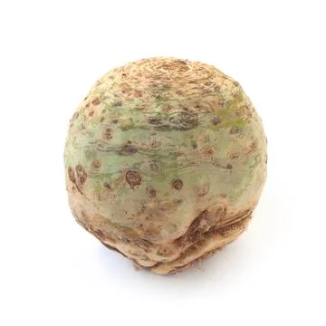 Knob Celery Stock Photos