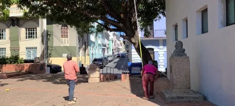 Knocking Down Mangoes Bastion De Las Palmas Old San Juan Puerto Rico 🇵🇷 Stock Footage 169299174