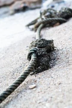 Knot on sand beach Stock Photos