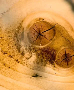 Knot weathered Stock Photos