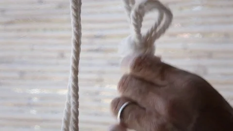 Knot white undoing ECU Stock Footage 79226702