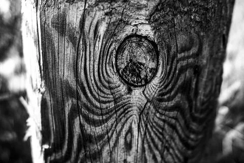 Knot in the wood Stock Photos
