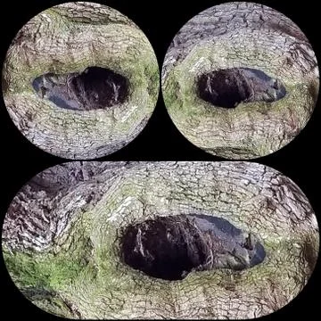 Knothole Face (10) Stock Photos
