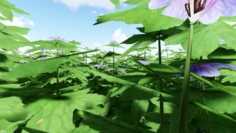 Knotted Cranesbill Blue Vídeo Stock 340156714