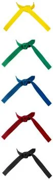 Knotted karate belts set of five Foto stock