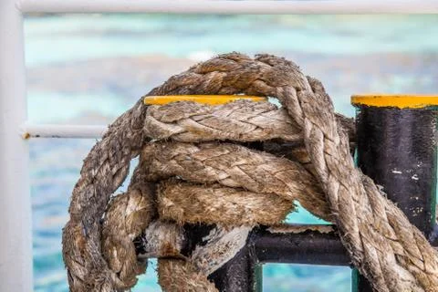 Knotted ropes Foto stock