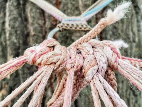 Knotted ropes. Stock Photos