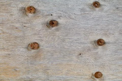 Knotty board Foto stock