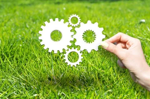 Know how concept with wheels and gears on green grass Fotos Stock