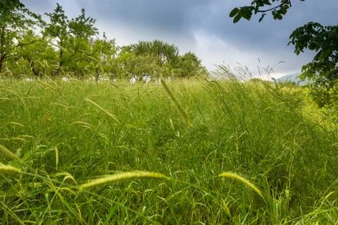 Knowing the future. Armenia Stock Photos