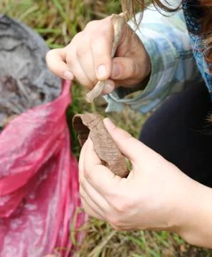 Knowledge of ancient pottery Stock Photos