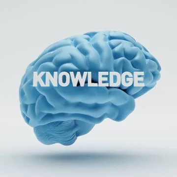 Knowledge brain Stock Illustration