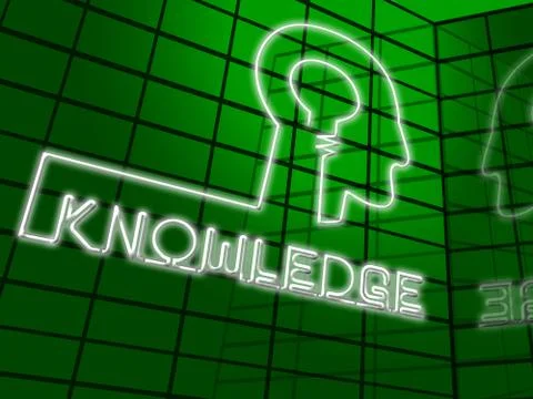 Knowledge Brain Showing Know How 3d Illustration Stock Illustration