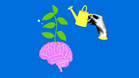  Knowledge concept. Hand waters the brain from a watering can. Mental health Stock Footage 328909376