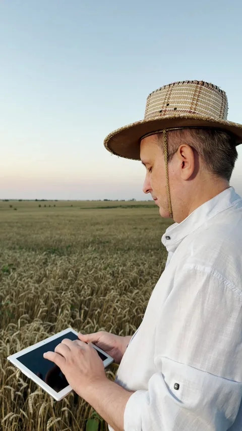 Knowledge-driven farming, rural agronomy expertise, innovative wheat-growing Stock Footage 317192018