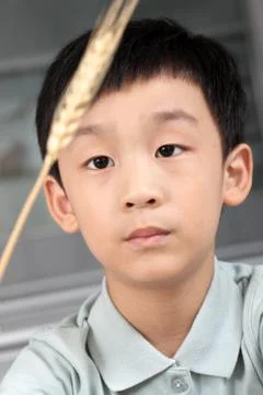 Knowledge Only boys Children only Classroom Tanemono Pupils Primary school Wheat Stock Photos