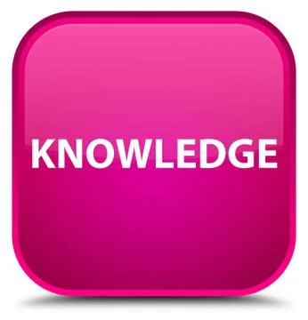 Knowledge special pink square button 스톡 일러스트
