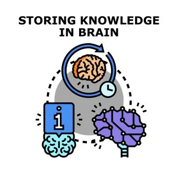 Knowledge storing process in human brain concept Stock Illustration