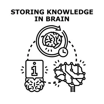 Knowledge storing process in human brain concept Stock Illustration