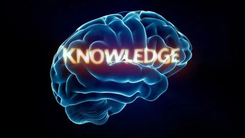 Knowledge xray brain Stock Illustration